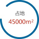 的